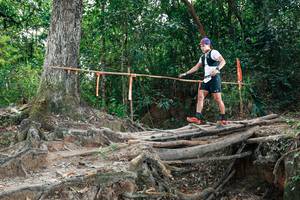 BIB: 
                            <button type="button" onclick="openModal(27803962)" class="btn btn-primary btn-sm float-right btn-popup" data-toggle="modal" data-target=".modal-high-quality">
                        <i class="fas fa-shopping-cart"></i> Add to Cart
                    </button>
                                            <button type="button" onclick="isThisMe(27803962, true)" class="btn btn-success btn-sm float-right btn-popup btn-isme hidden" data-toggle="tooltip" data-placement="bottom" title="นี่คือรูปของคุณใช่ไหม คลิกที่นี่เพื่อเอาเข้าอัลบั้ม">
                        <i class="fas fa-plus"></i> Add to album
                    </button>
                    <button type="button" onclick="isThisMe(27803962, false)" class="btn btn-warning btn-sm float-right btn-popup btn-isnotme hidden">
                        <i class="fas fa-ban"></i> Remove from album
                    </button>